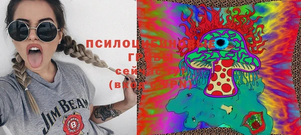 индика Бронницы